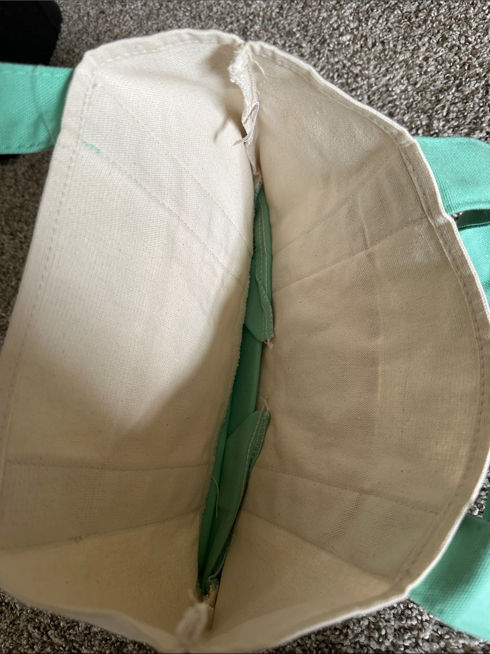 Trader Joe’s Mini Pastel Canvas Tote Bag; NWT - Picture 3 of 5